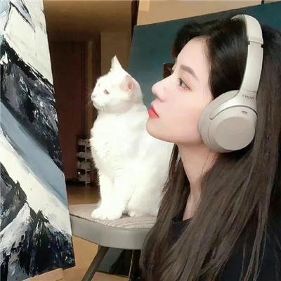 地狱猫